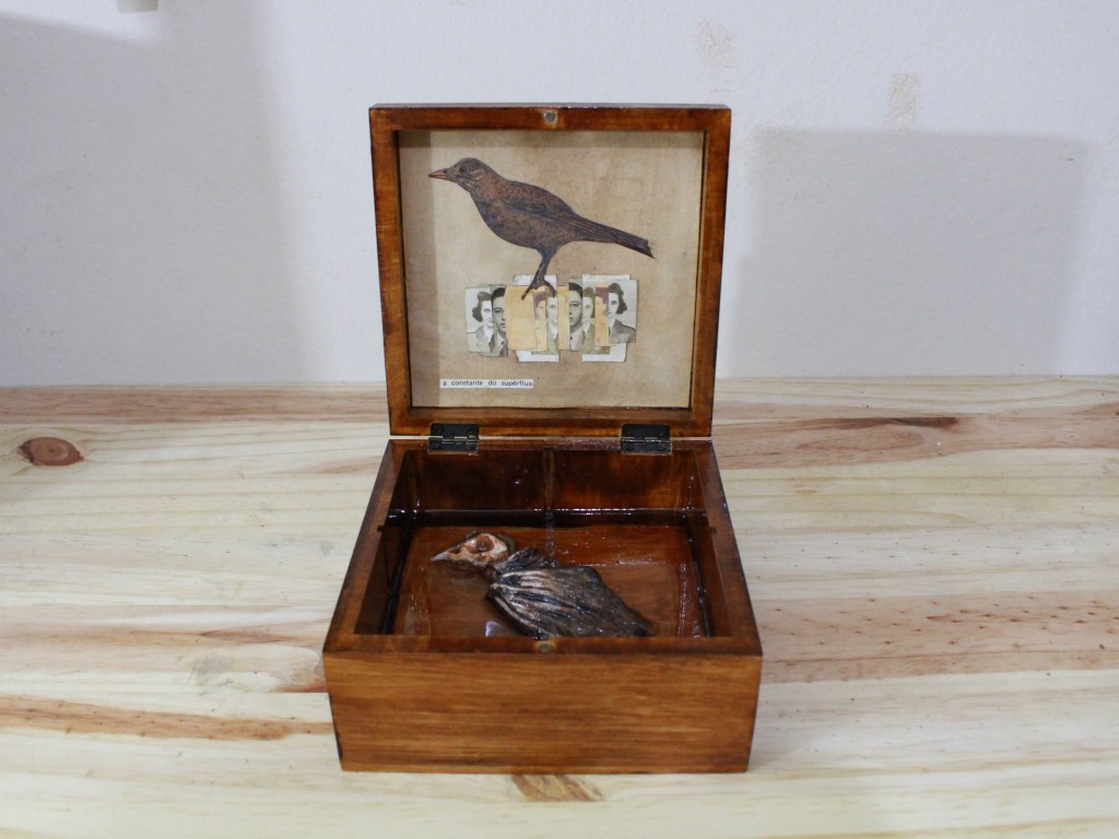 Eles sabiam, eu&nbsp;sabiá