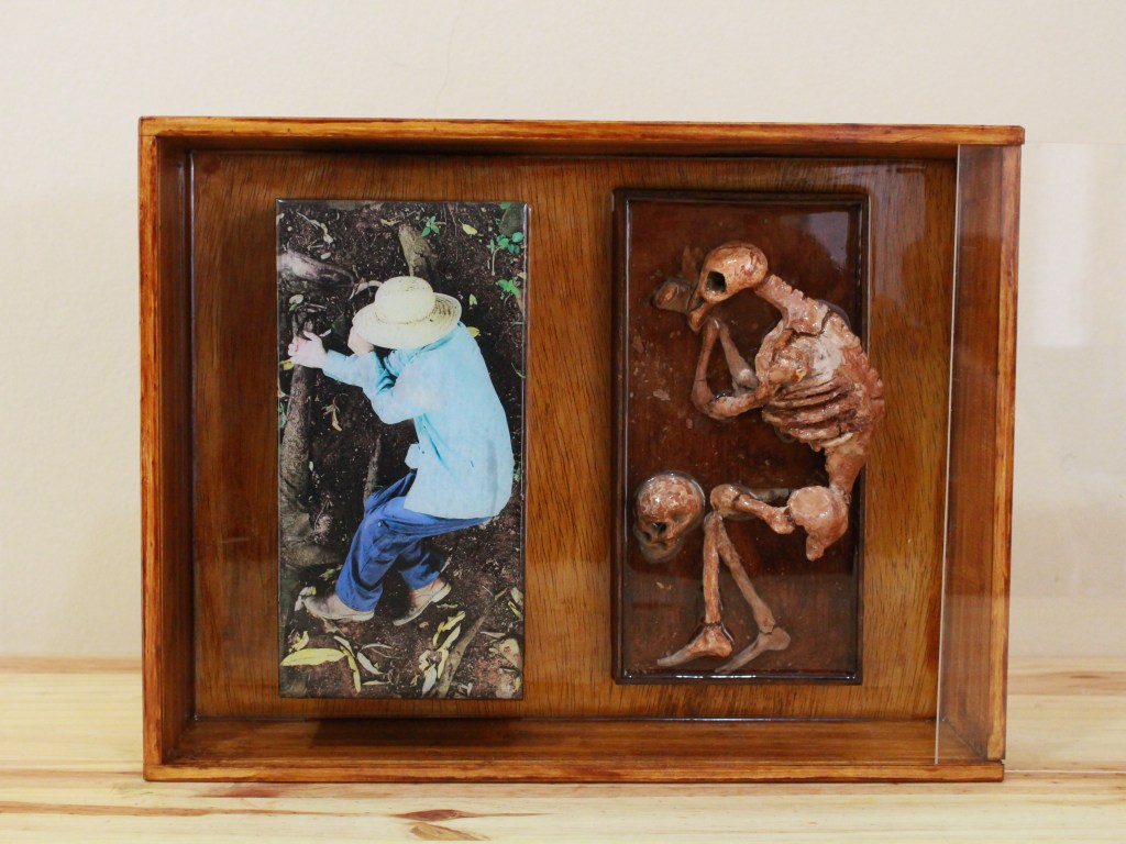 O canto do&nbsp;carcará